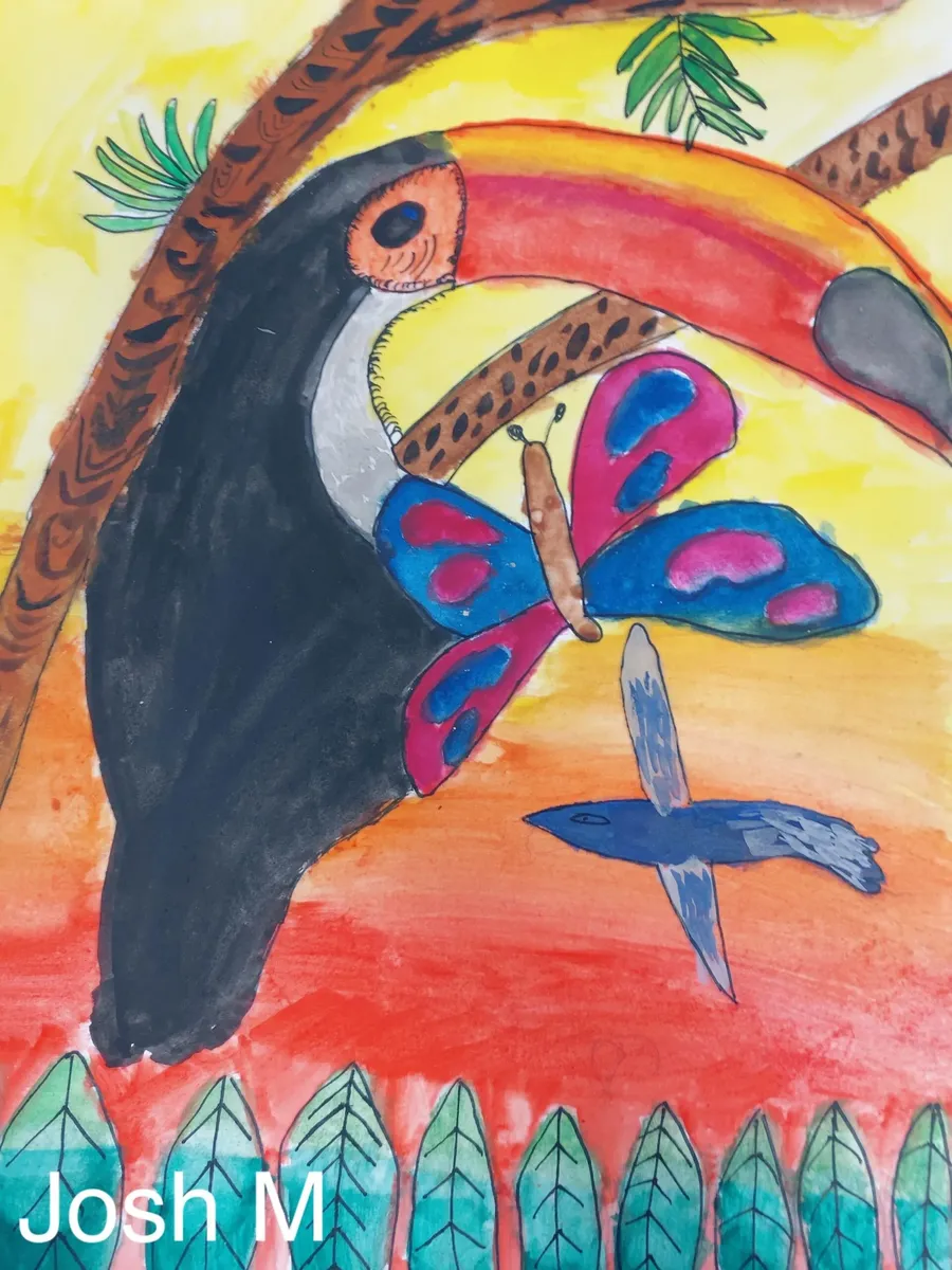 Year 7 rainforests