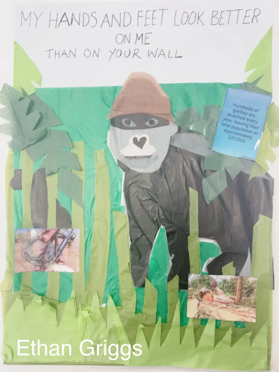 Year 7 Animal Awareness Poster Competition